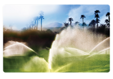 Commercial Sprinkler Systems