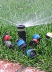 Sprinkler Head Replacement