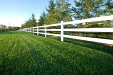 lush lawn in Millbrae CA