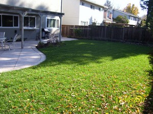 a great job done by our Millbrae Pool Demolition techs
