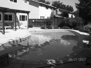 old pool in need of a Pool Fill In by our Millbrae contractors
