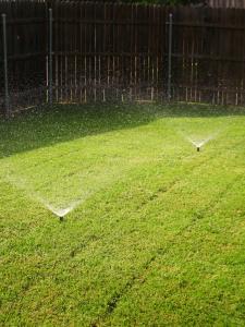lawn with sprinklers